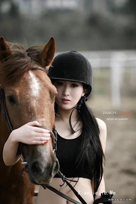 Horse [12P-799.38 KB]