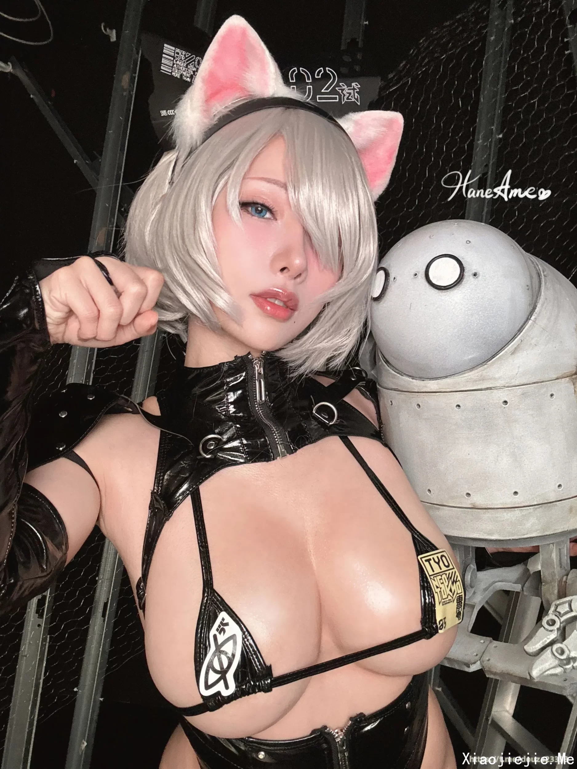 雨波 Nier Automata_ 2B_ Cyberpunk 猫猫（3月4打赏群资源）