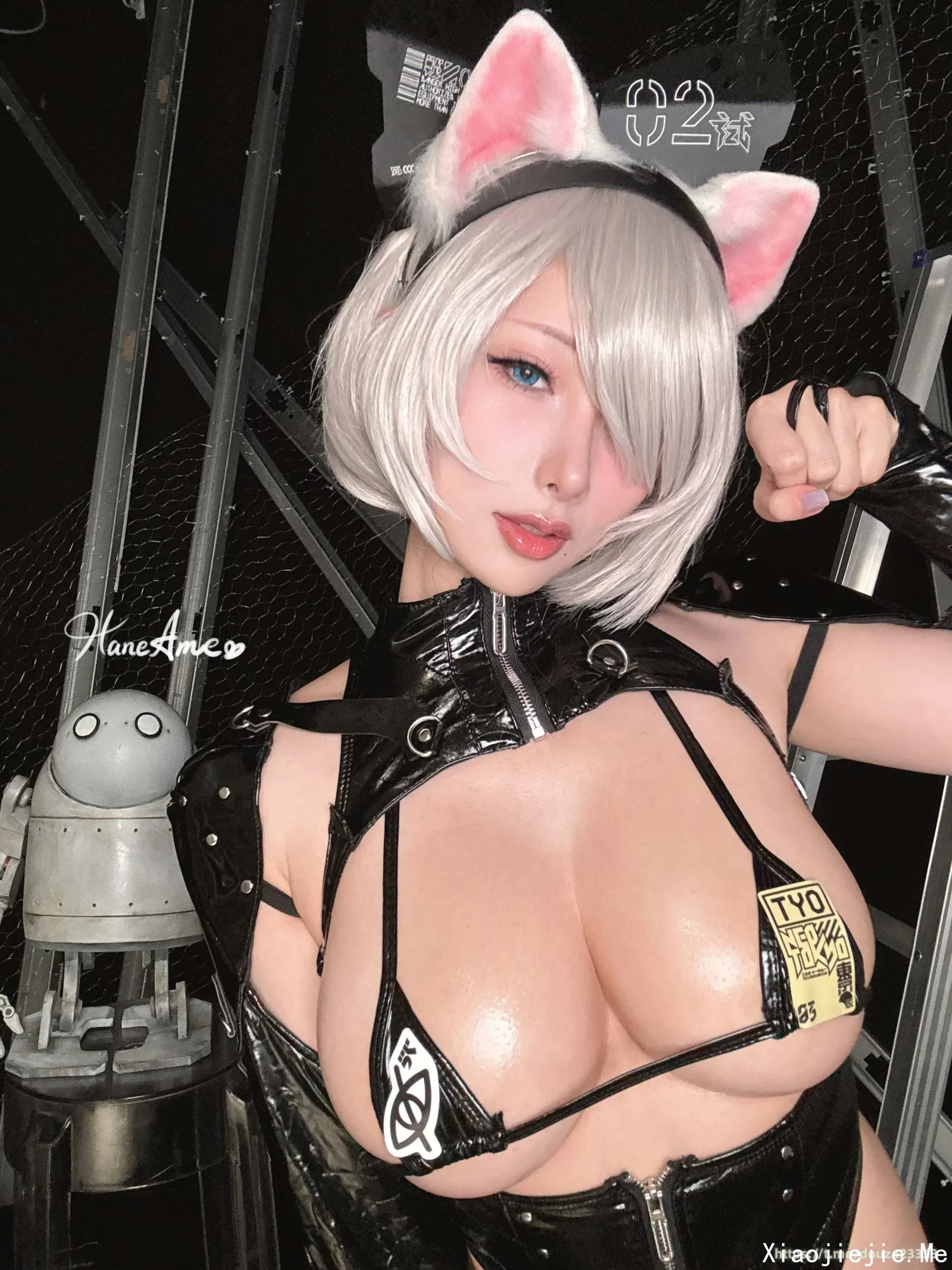 雨波 Nier Automata_ 2B_ Cyberpunk 猫猫（3月4打赏群资源）