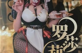 在下萝莉控 魔王 罗莎莉亚 [14P]